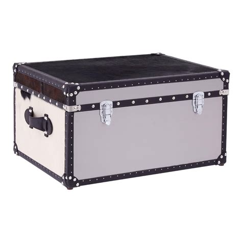 picture of 40kg metallic trunk box|Amazon.com: Metal Trunks For Storage.